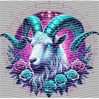 Constellation-XZ 132